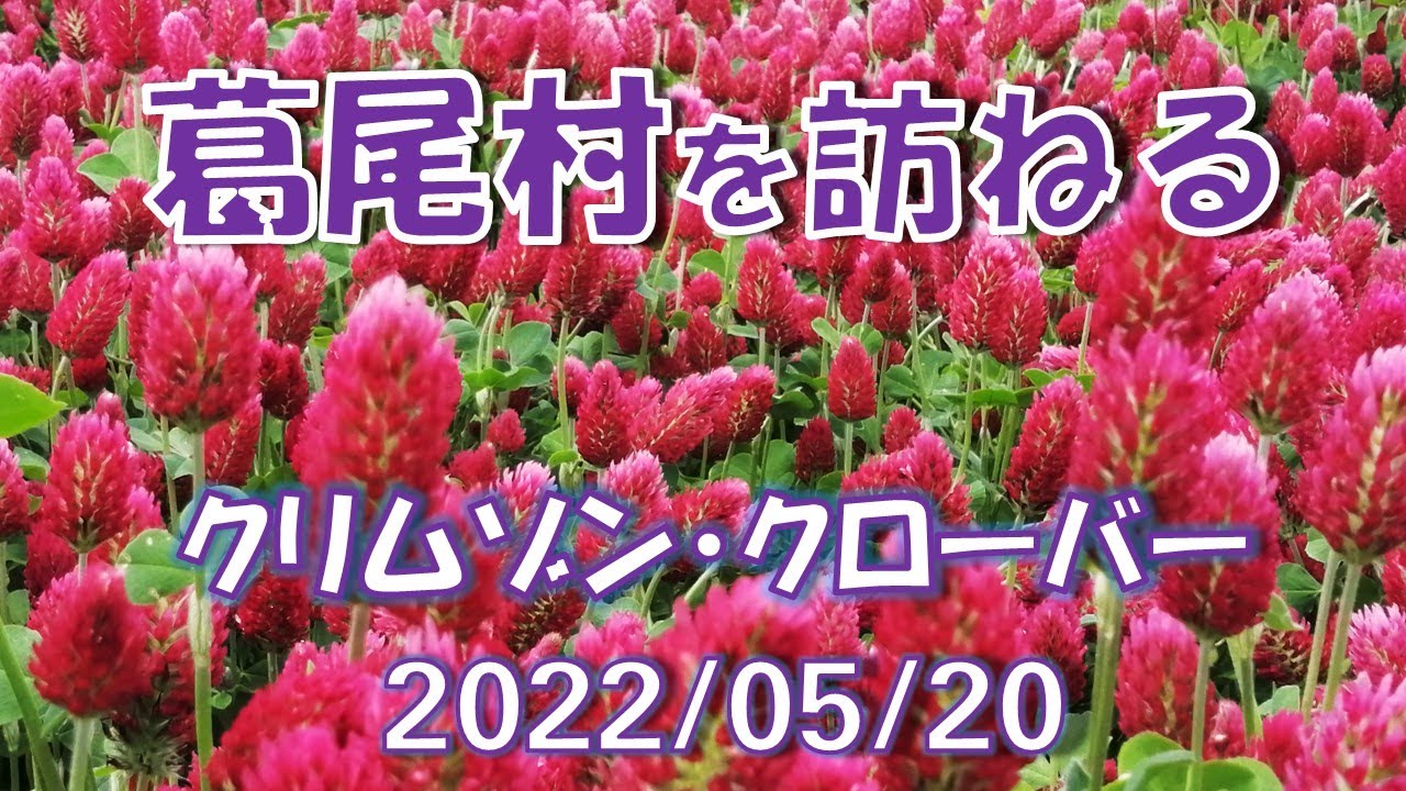 葛尾村「クリムゾンクローバー」を訪ねる