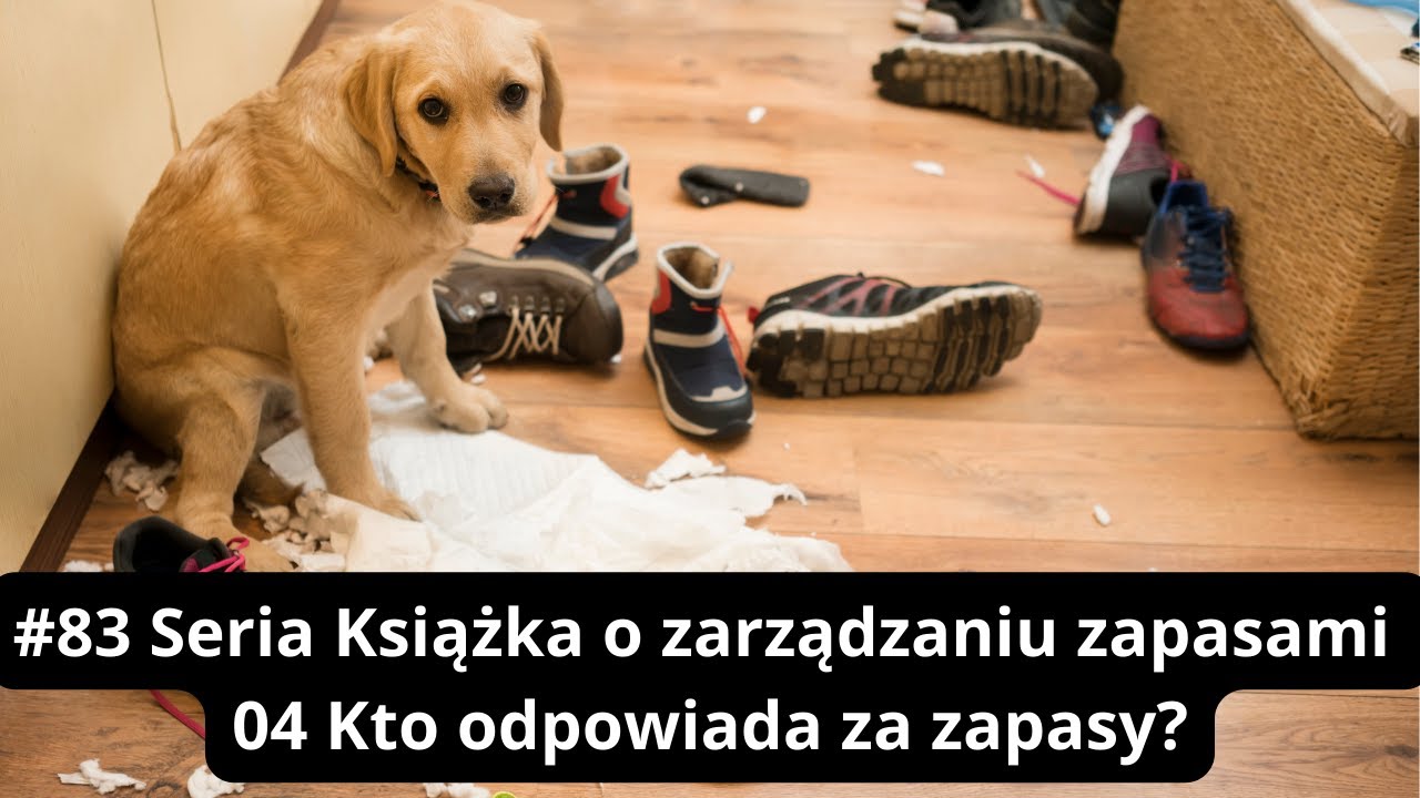 #83 Seria Książka o zarządzaniu zapasami 04 Kto odpowiada za zapasy w firmie?
