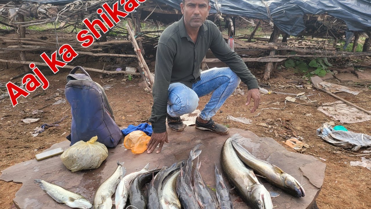 Pariva dam fishing/Found the stop of one catch fish\Amazing experience ofpareva dam#fishing