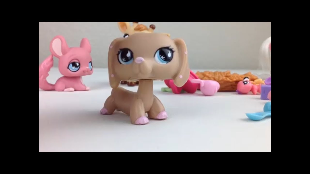 Lps Package Opening ~ #909