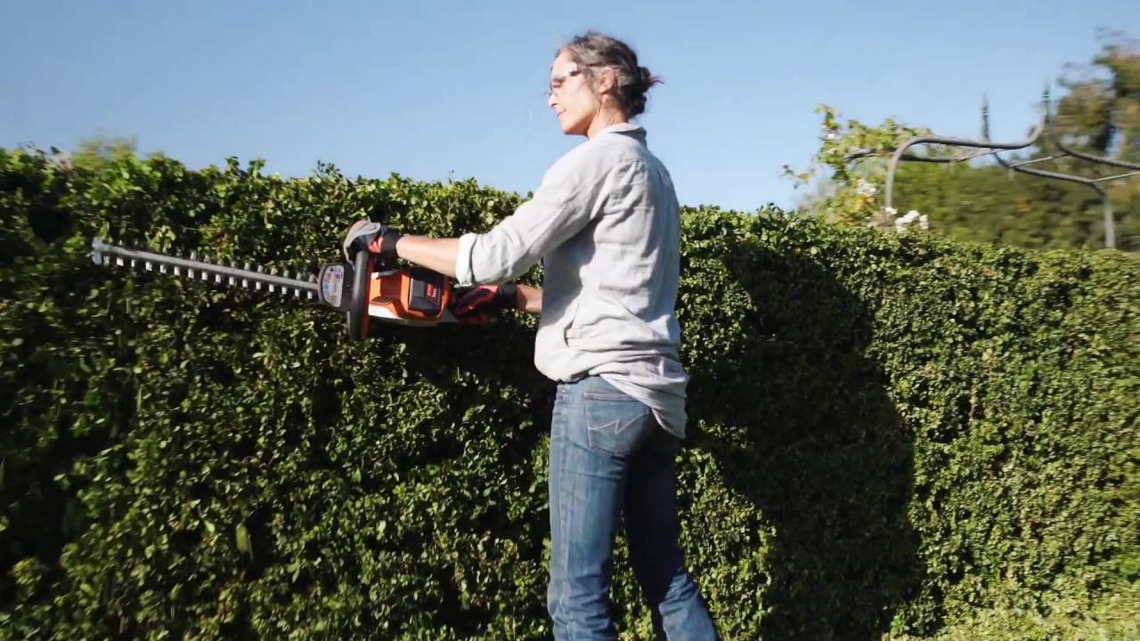 STIHL COMPACT batterih&aelig;kkeklipper