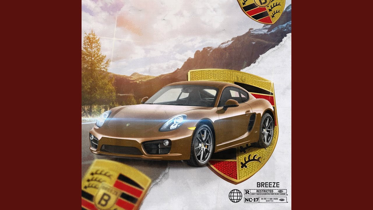 Porsche Marrom