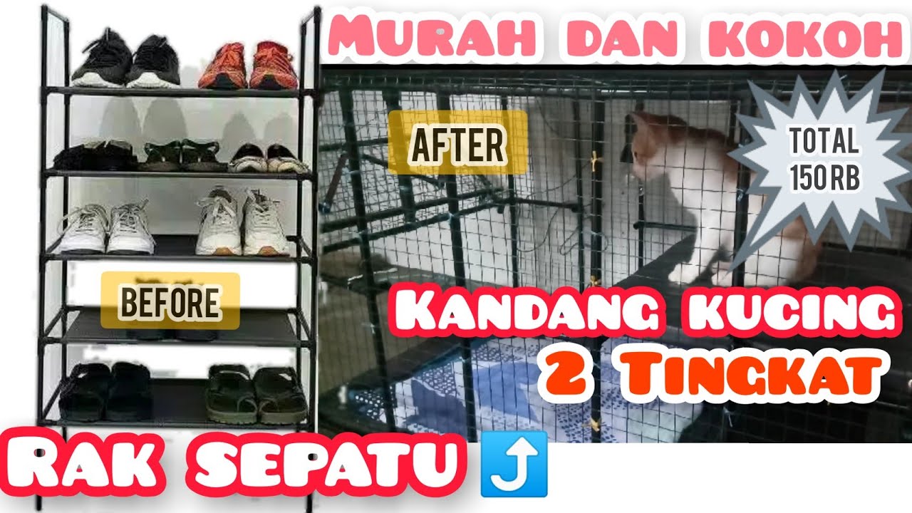Membuat Kandang Kucing Murah dan Sederhana | Yang Mau Bikin kandang kucing Sendiri Mudah dan Hemat