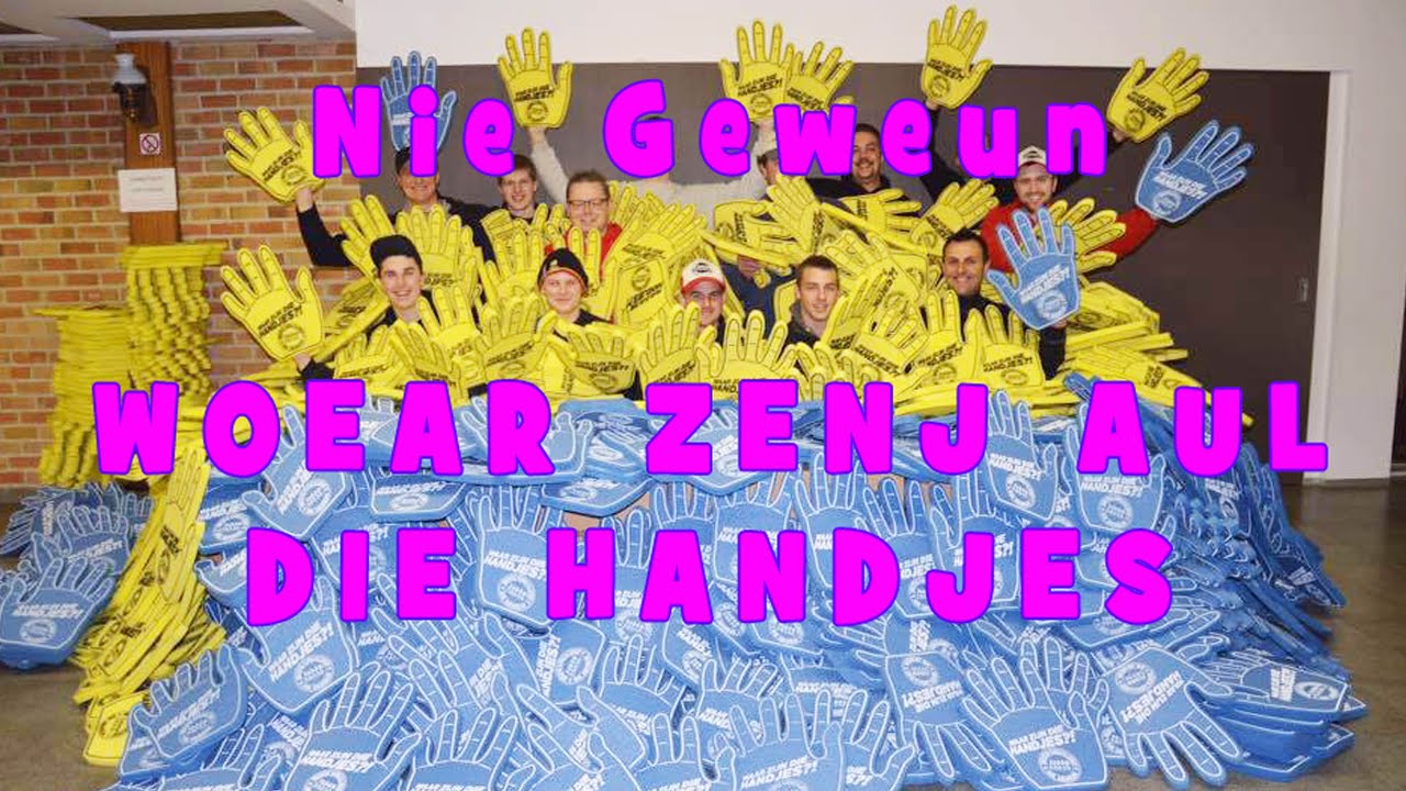 Carnaval Ninove 2016 - Nie Geweun -Woear zenj aul die handjes