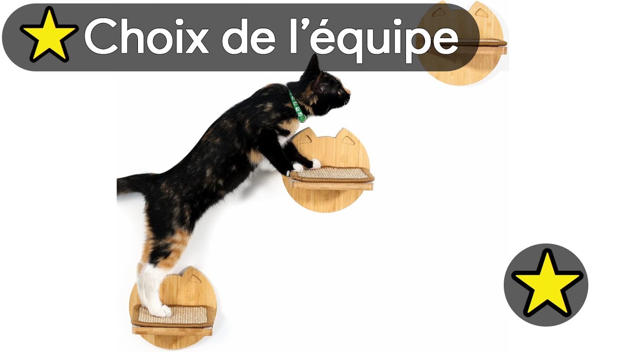 🏆 TOP 3 MEILLEUR ESCALIER POUR CHAT MURAL 2025