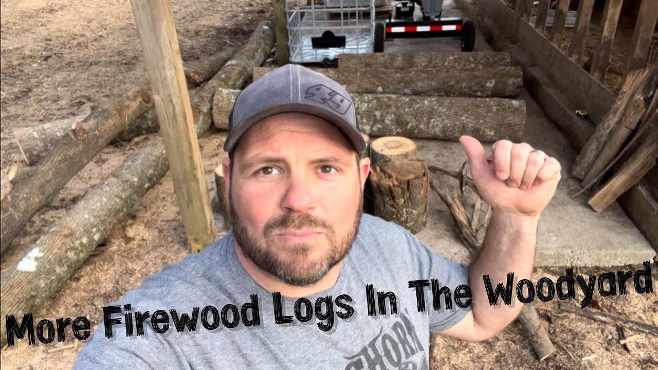 More Firewood Logs In The Woodyard