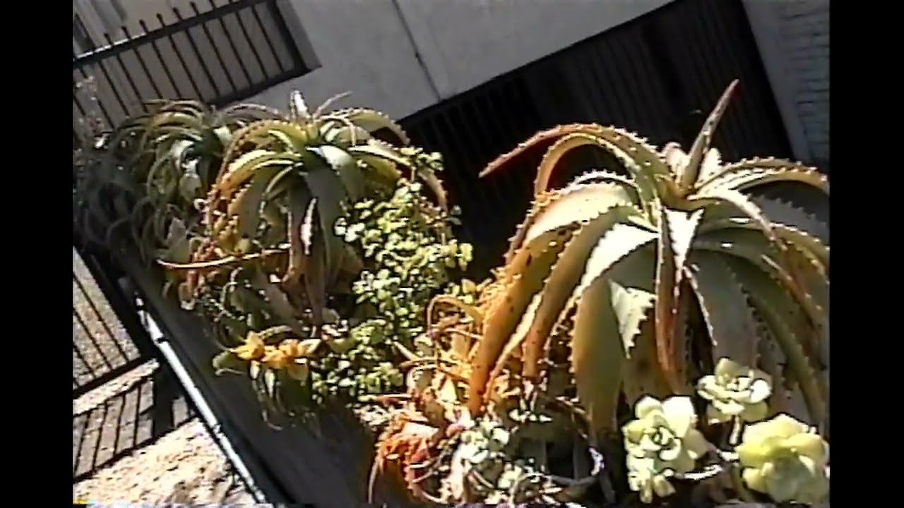 Retro Camcorder Test Footage: JVC GR-SXM265U compact Super VHS-C camcorder