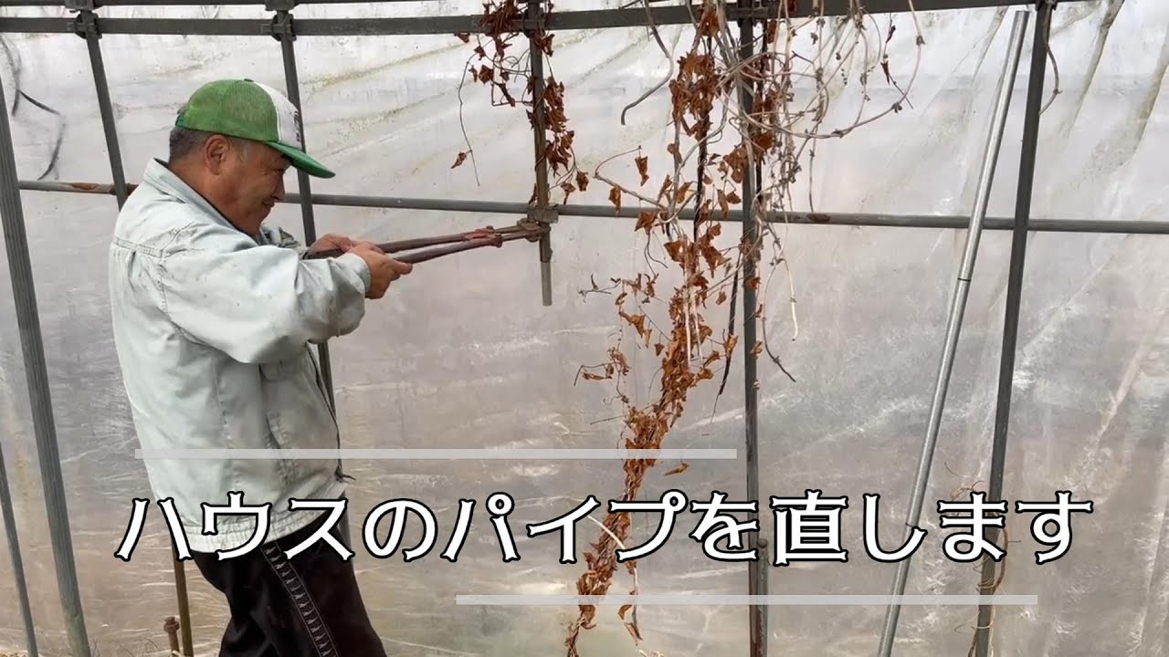 【DIY】ハウスのパイプを直します -We repair the greenhouse pipes-