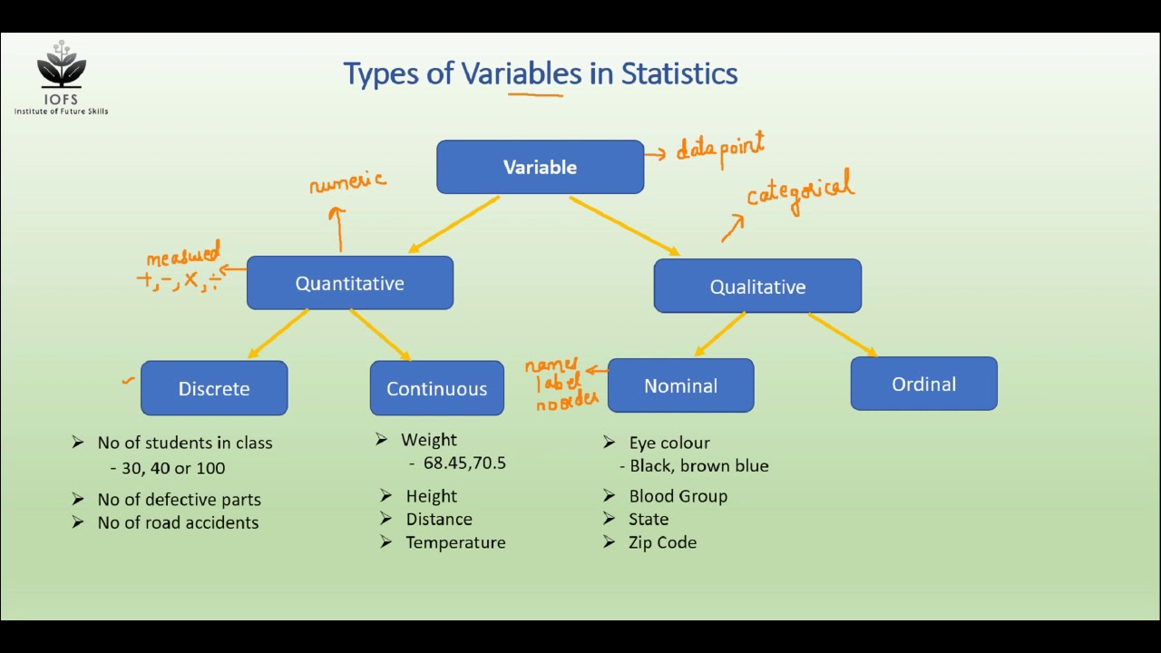 Types of Variables in Statistics