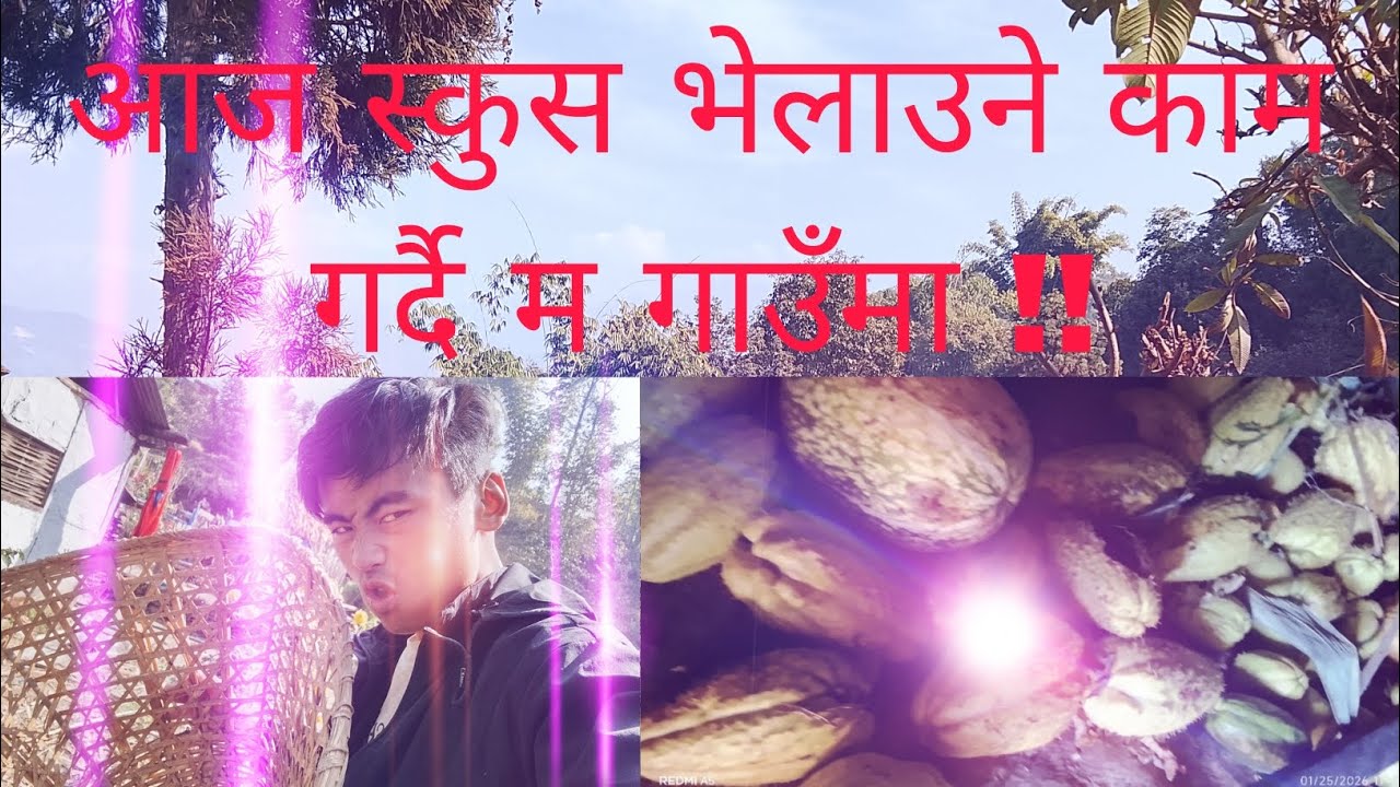 Aaja iskus velaudai ma barima aklai 😢 🤗 #Yakthung mini vlogs🙏 #nepali vlog #comedy video  