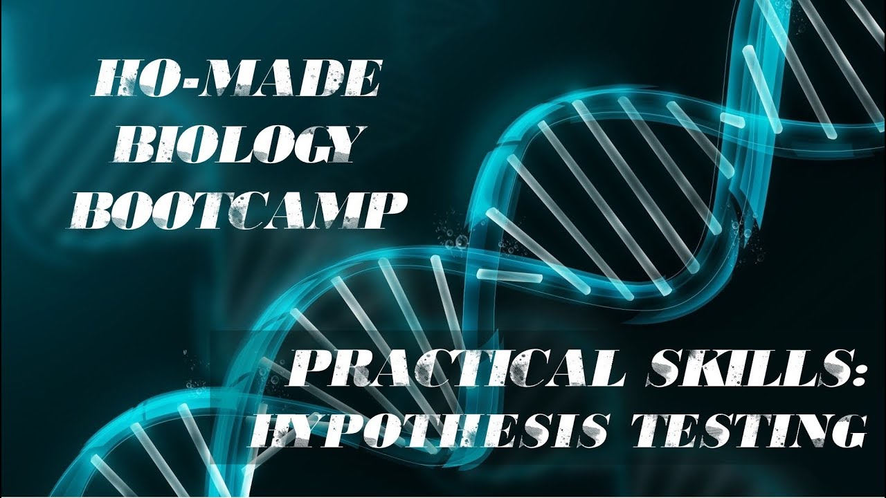 Practical Skills - Hypothesis Testing