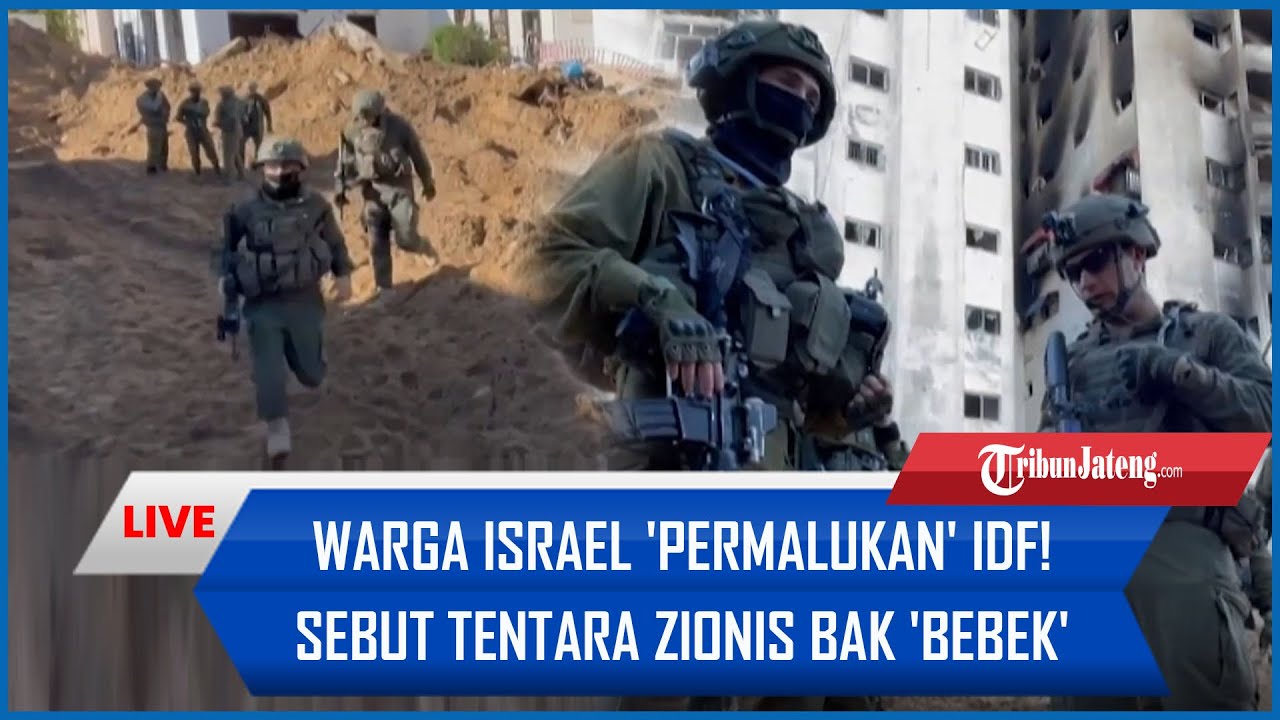 Warga Israel 'PERMALUKAN' IDF! Sebut Tentara Zionis bak 'Bebek' Lawan Pasukan Elite Radwan Hizbullah