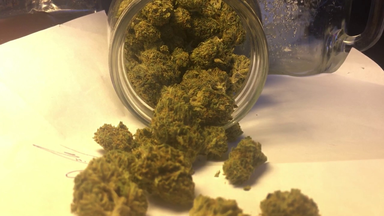 Tahoe OG NUG PORN