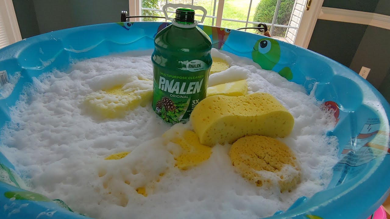 Pinalen + Ariel detergent Sponge Pool (sneak peek)