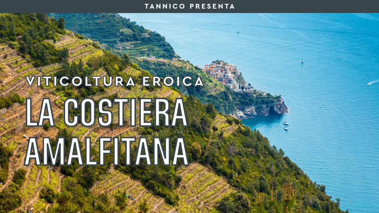 Amalfi e i vigneti eroici della costa campana | Tannico