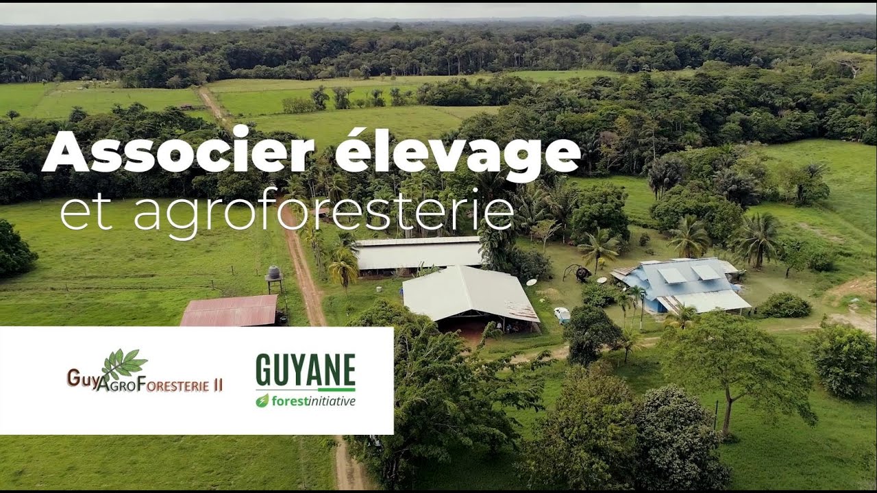 ASSOCIER L'ÉLEVAGE ET AGROFORESTERIE