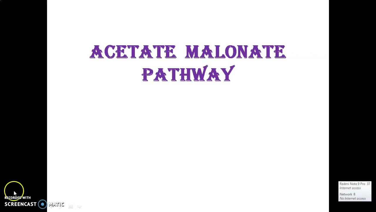 Acetate Malonate Pathway
