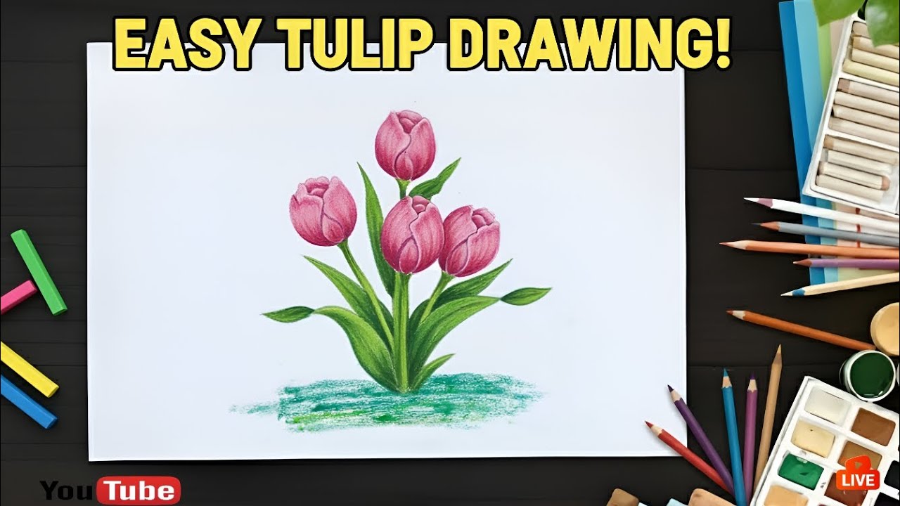 Easy Tulip Drawing! | How to Draw Flower | Realistic Flower Drawing | #drawing #flowers #tulip 