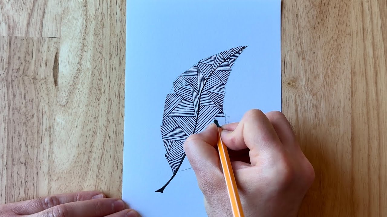 Lines of Nature – A Geometric Leaf Journey
