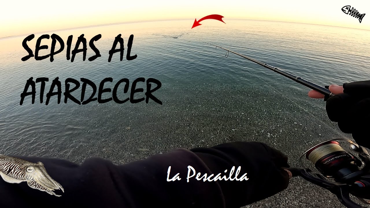 MUCHA ACTIVIDAD Pescando SEPIAS al ATARDECER desde PLAYA | &iquest;PULPO ENROCADOR? | EGING