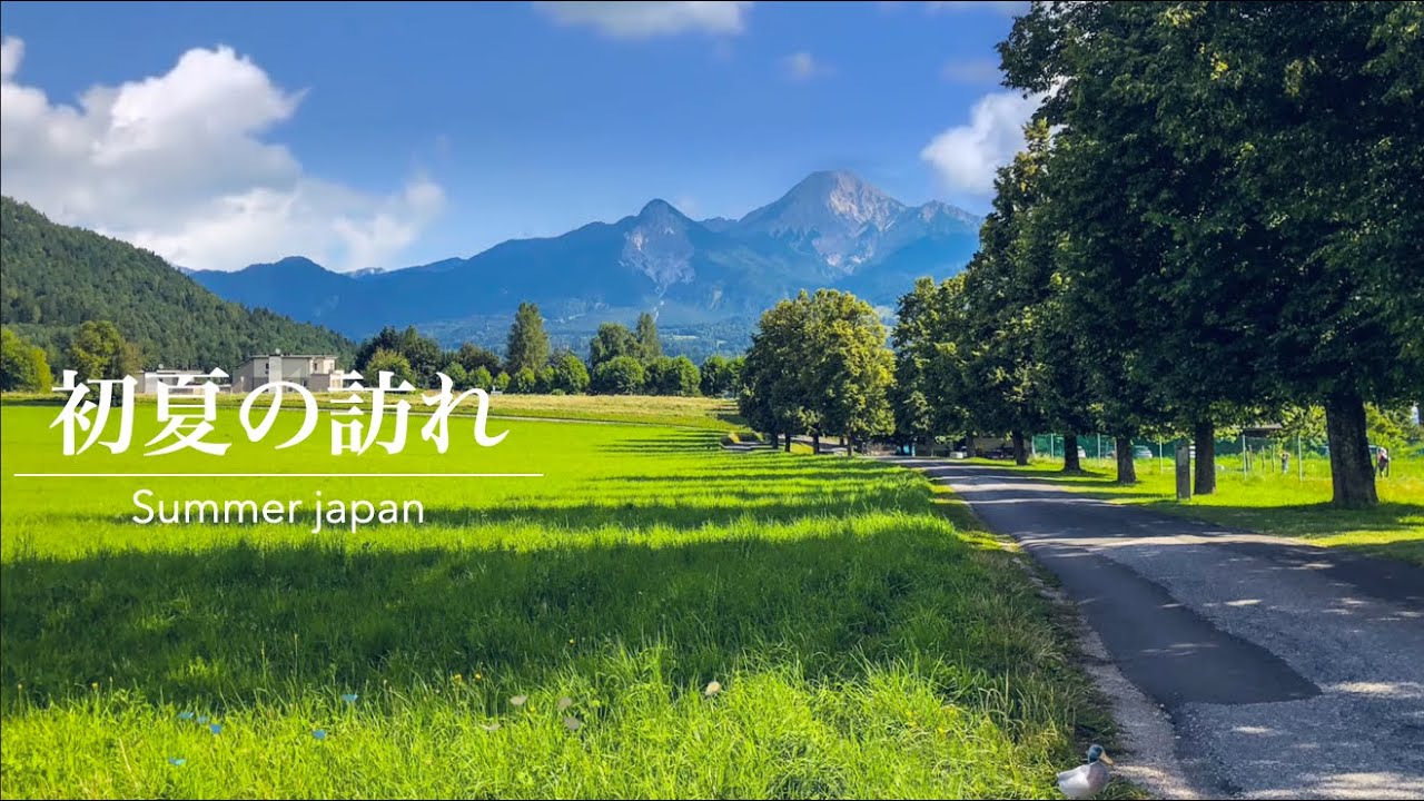 [環境音]夏の音・夏音・田舎の音・作業用BGM｜ Japanese summer