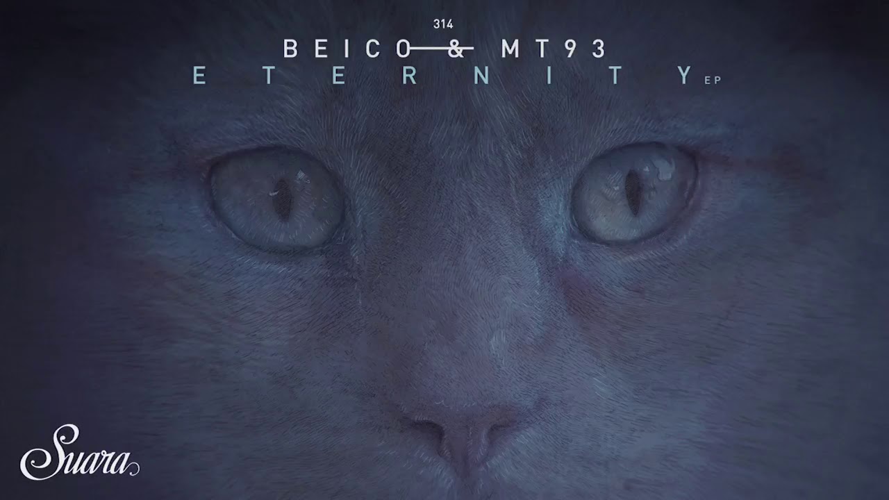 Beico & Mt93 - Connection Series (Original Mix) [Suara]