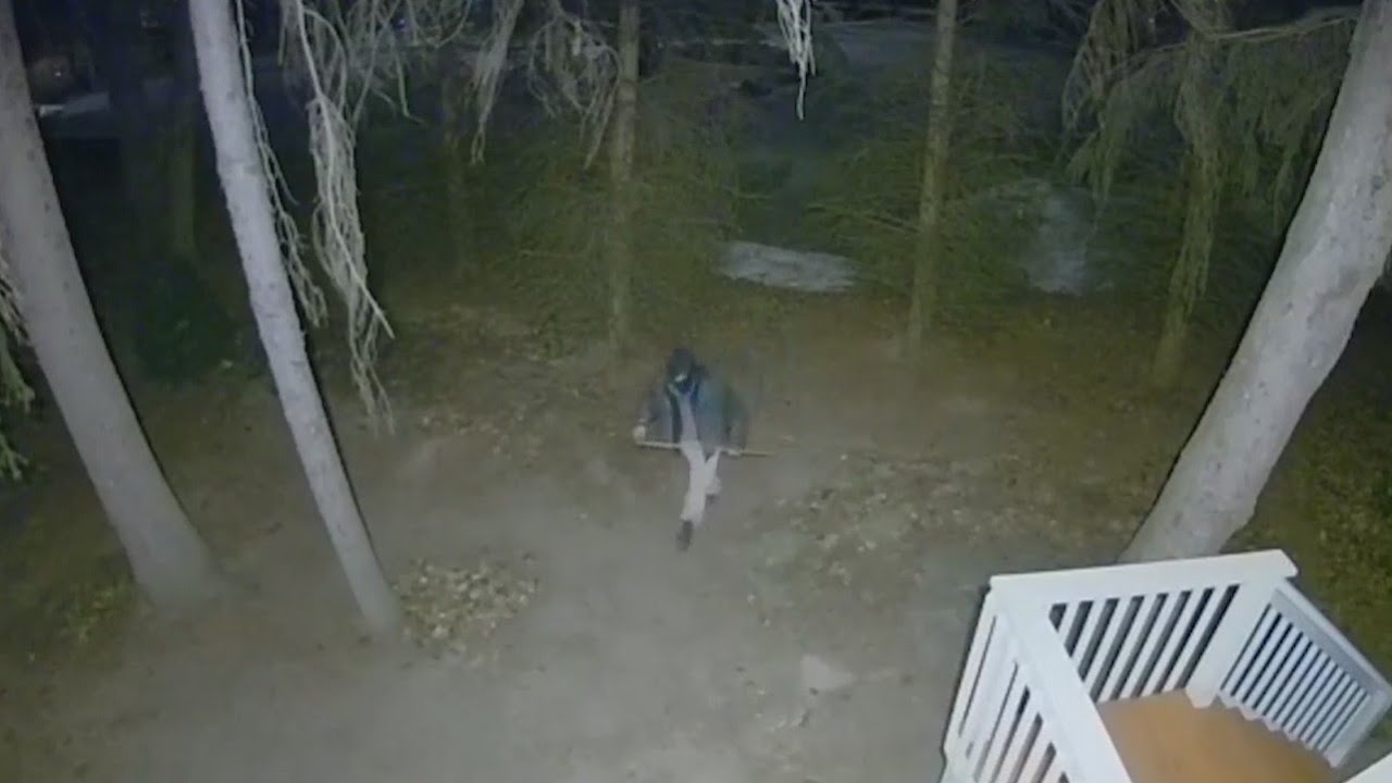 Rochester police investigating series of crimes, suspicious incidents at Park Ave. home