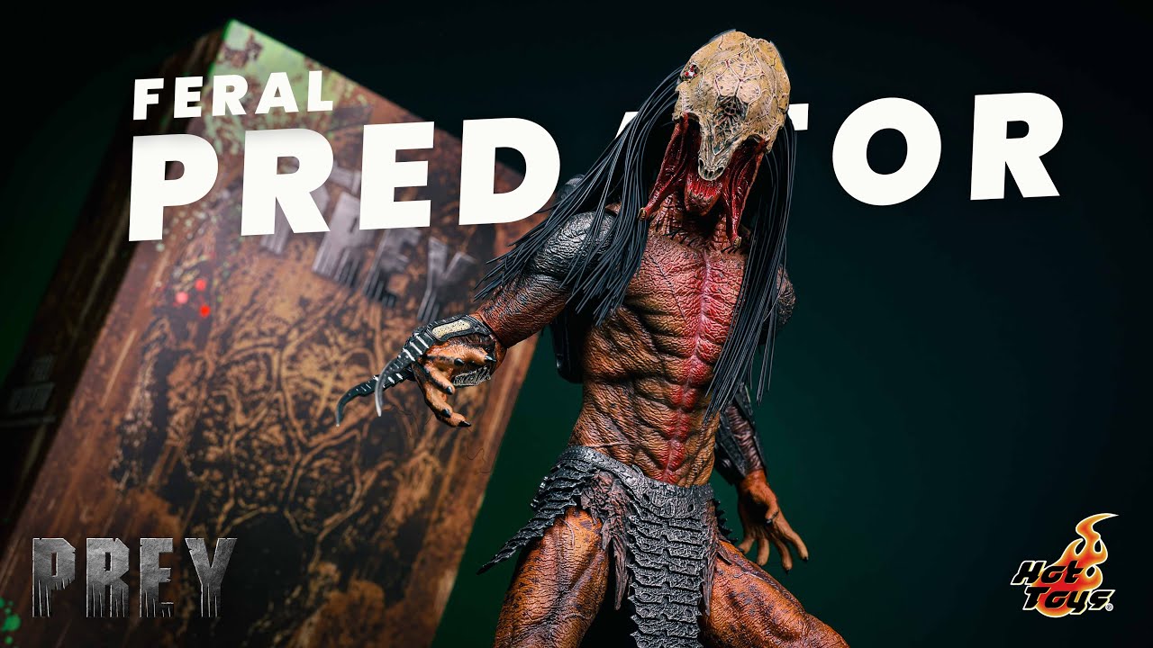 Этот FERAL Predator от Hot Toys за 500 долларов — просто СУПЕР! | Распаковка и обзор