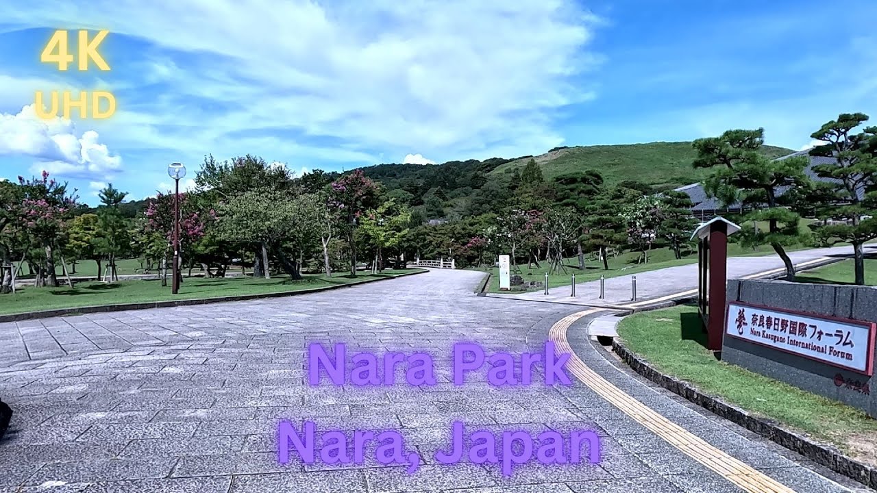 Walking in Japan - Nara Park, 4K