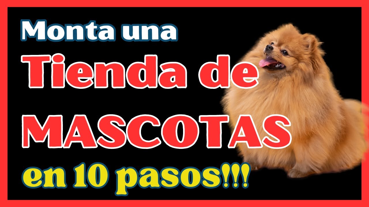 Cómo montar una Tienda de MASCOTAS 🐶 🐱 10 Pasos para el Montaje de un PET SHOP 🦜 🐟