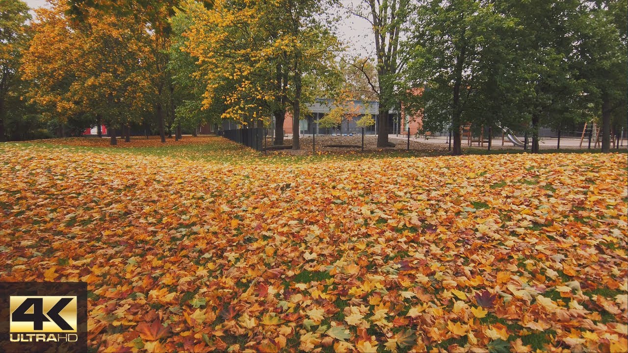 【4K】Autumn walk from to Lauttasaari(M), Helsinki 🍂