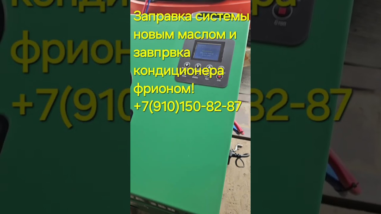 11 июля 2024 г.