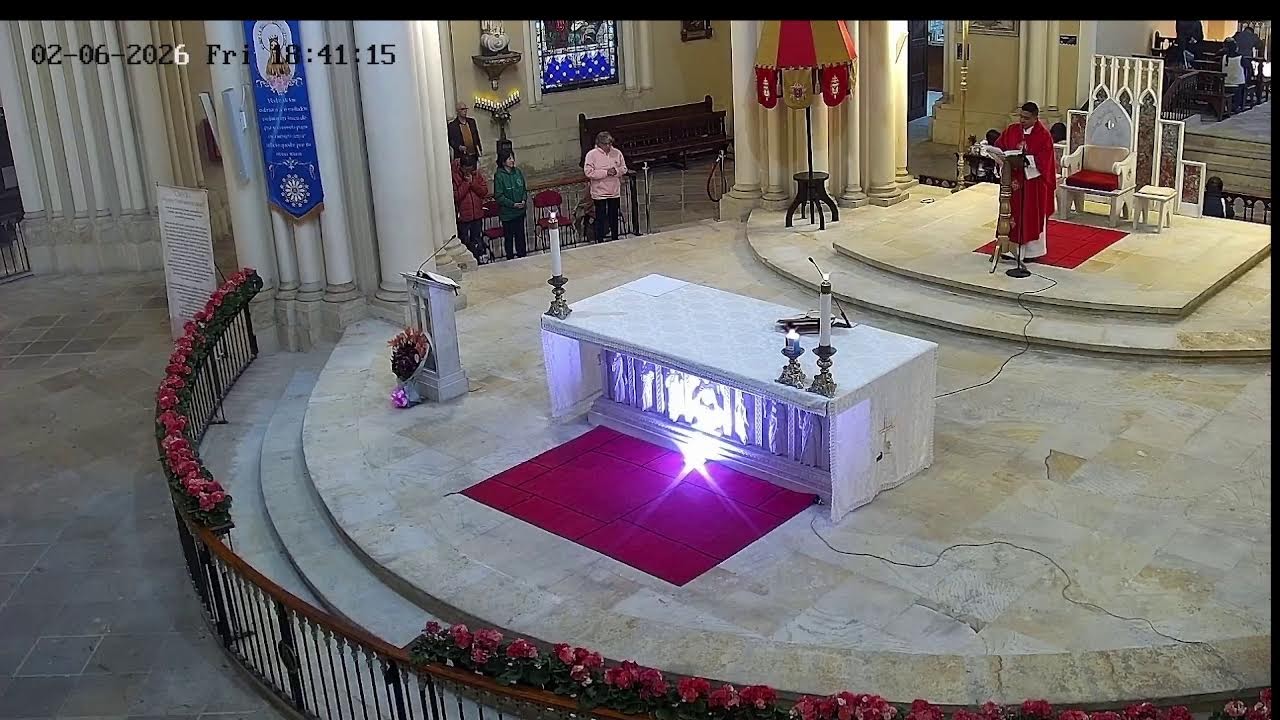 Transmisión Eucaristía Basílica de Lourdes   2026