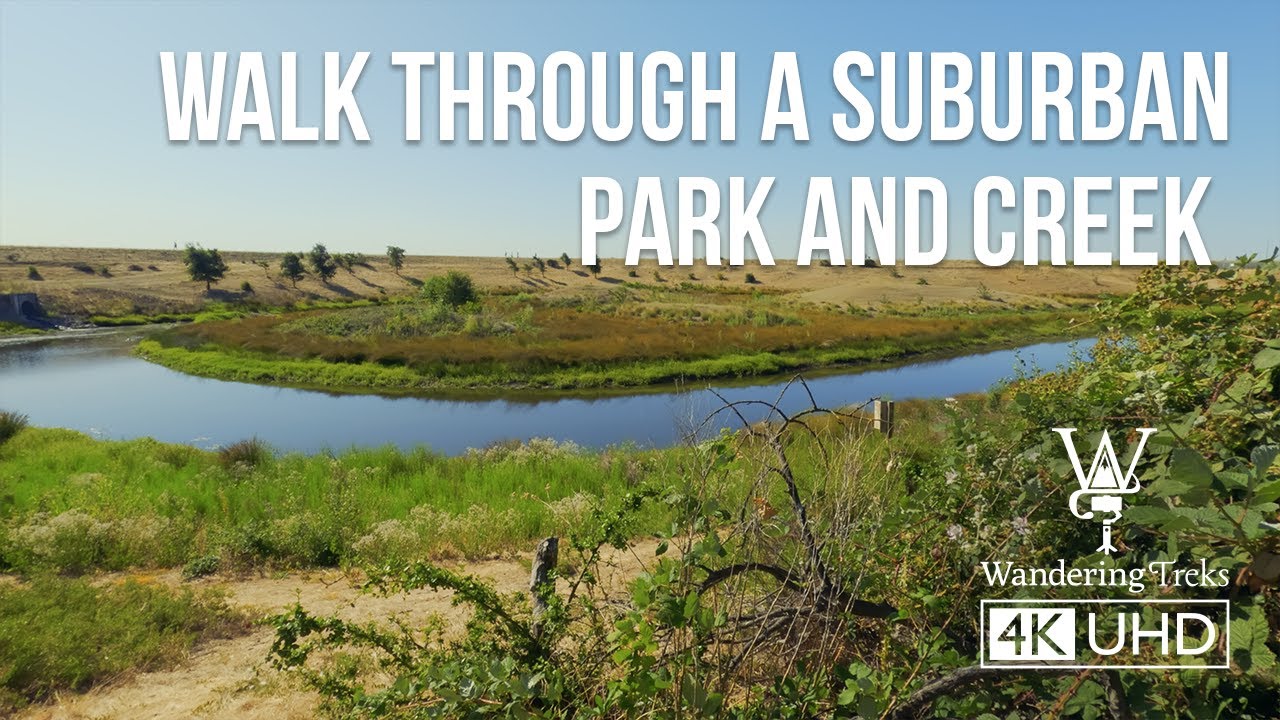 POV Walk Through Suburban Park and Creek | Summer Morning Nature Sounds | 4K
