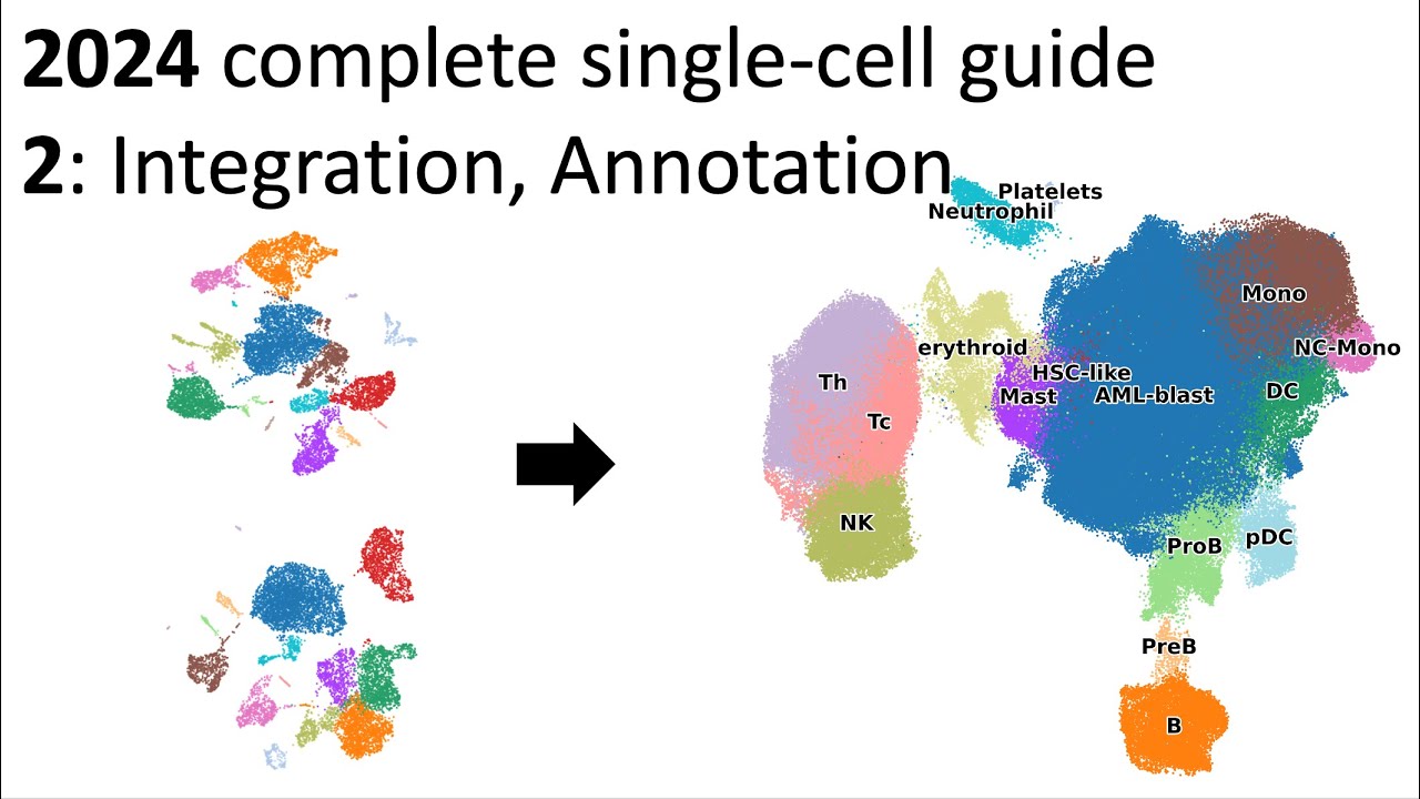 2024 updated single-cell guide - Part 2: RNA Integration and annotation