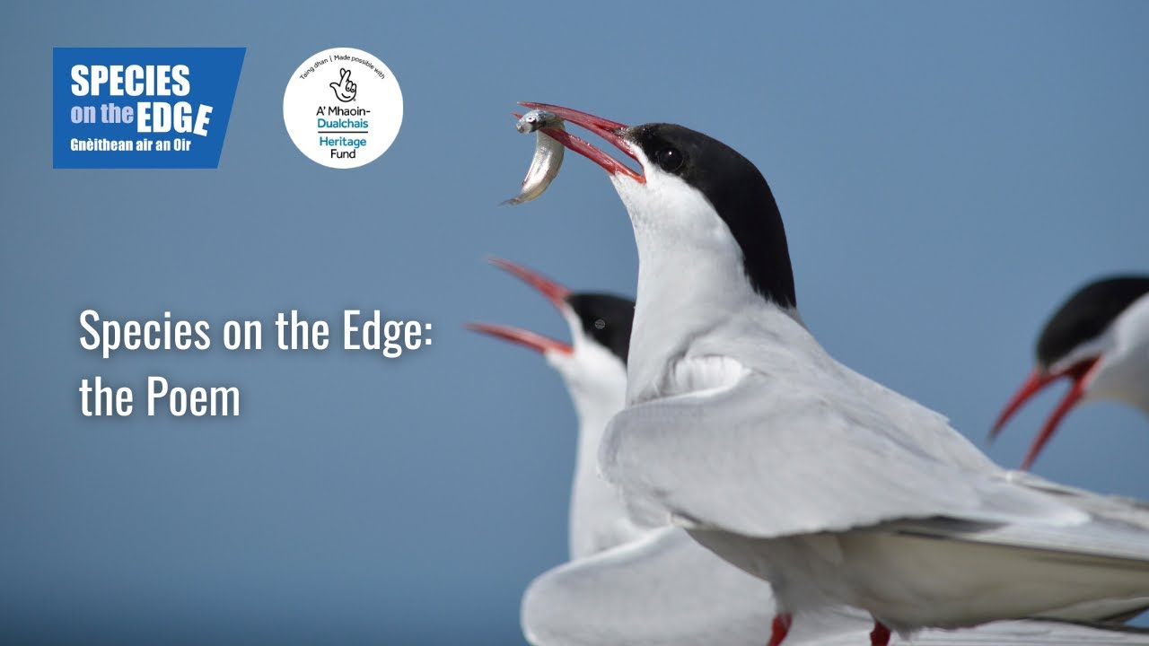 Species on the Edge: the Poem