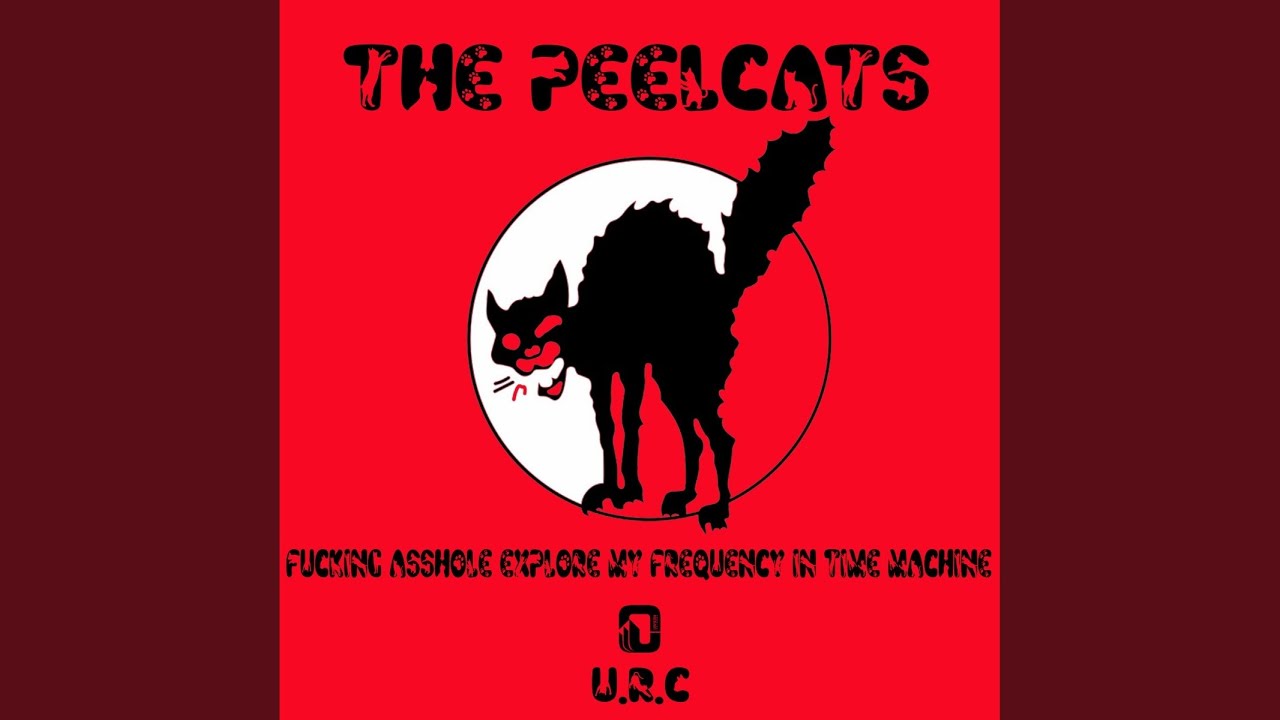 Fucking Asshole (Original Mix)