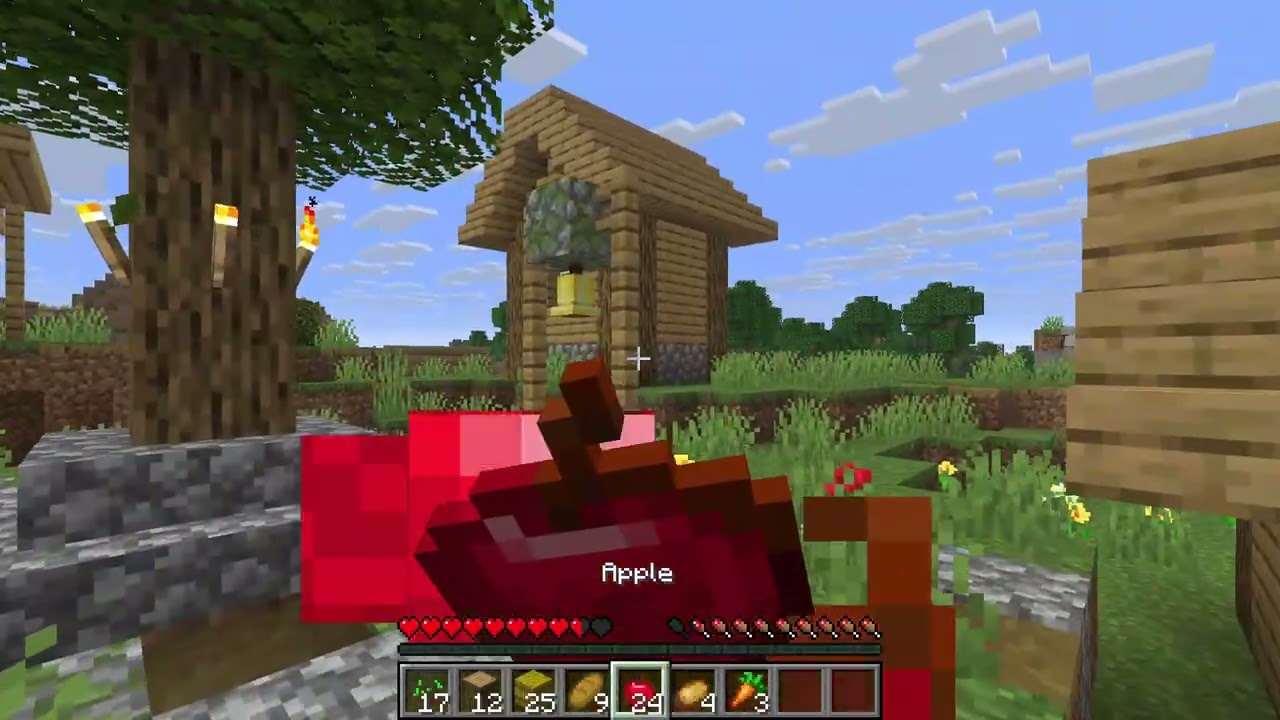 My New Minecraft Series!