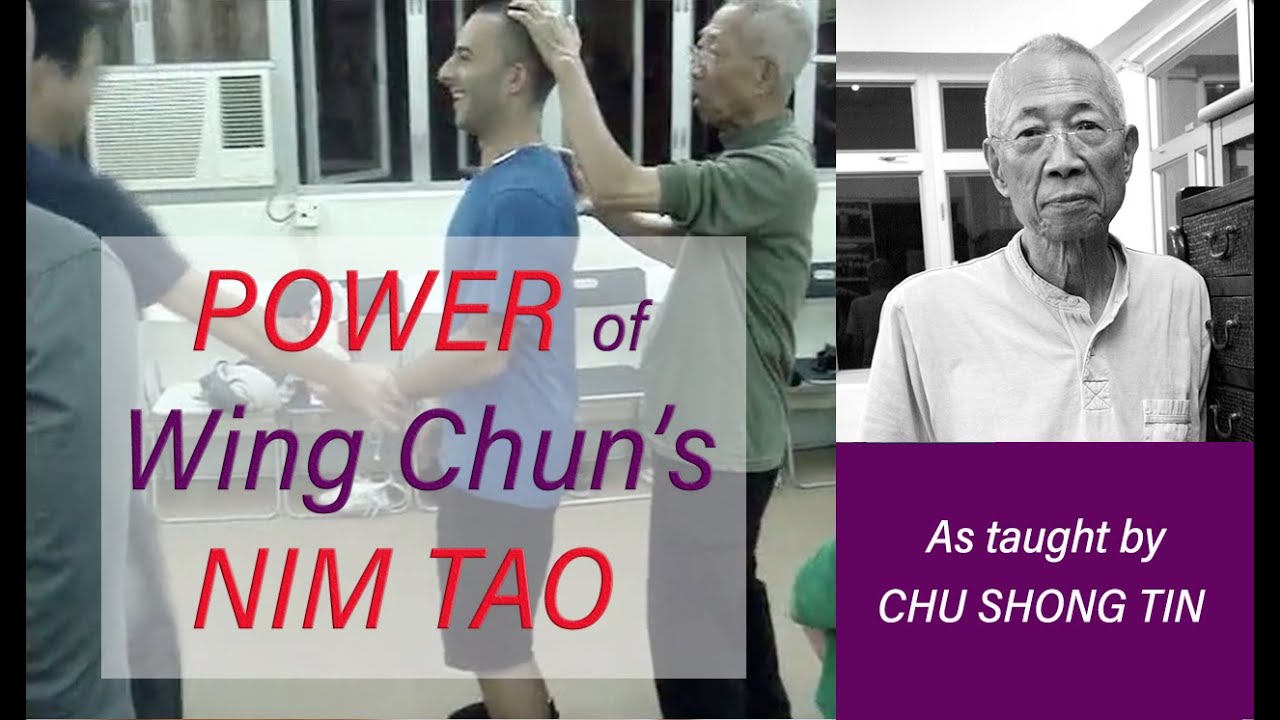 POWER of Wing Chun's 