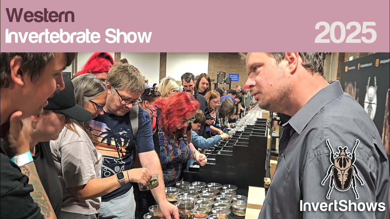 WESTERN INVERTEBRATE SHOW 2025 