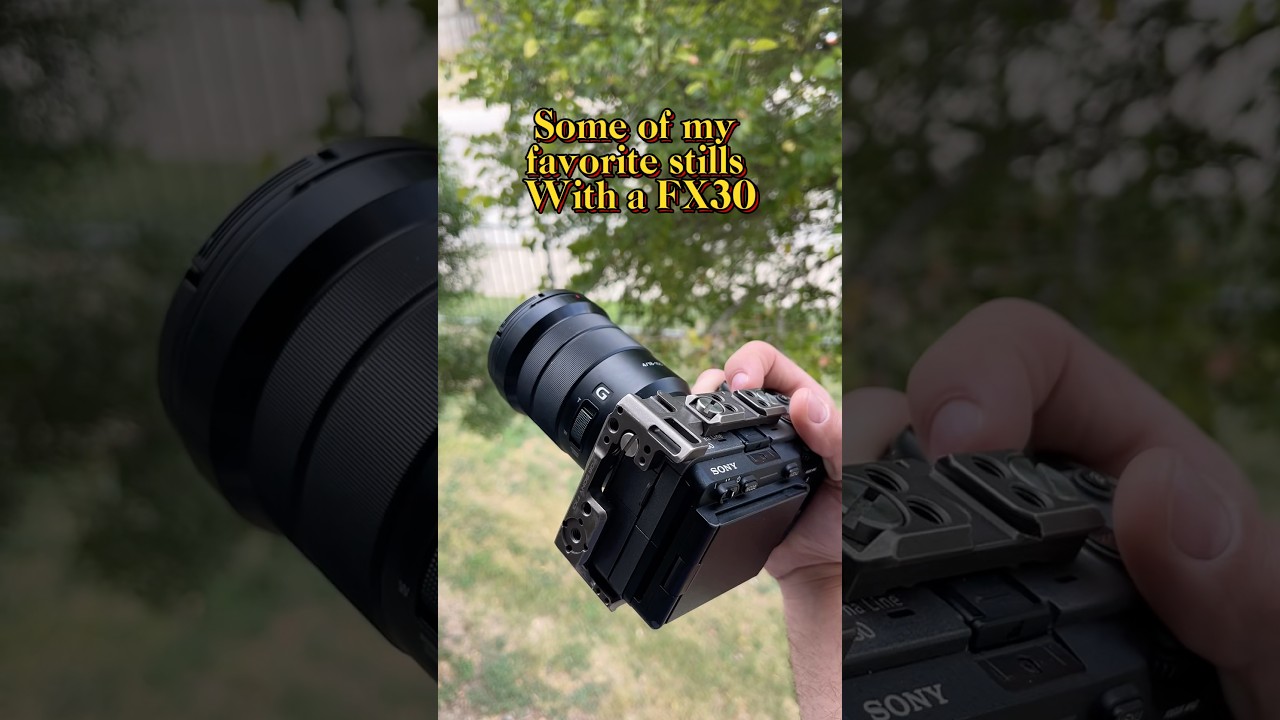 Sony FX30 with 18-105mm F4 Example Photos 