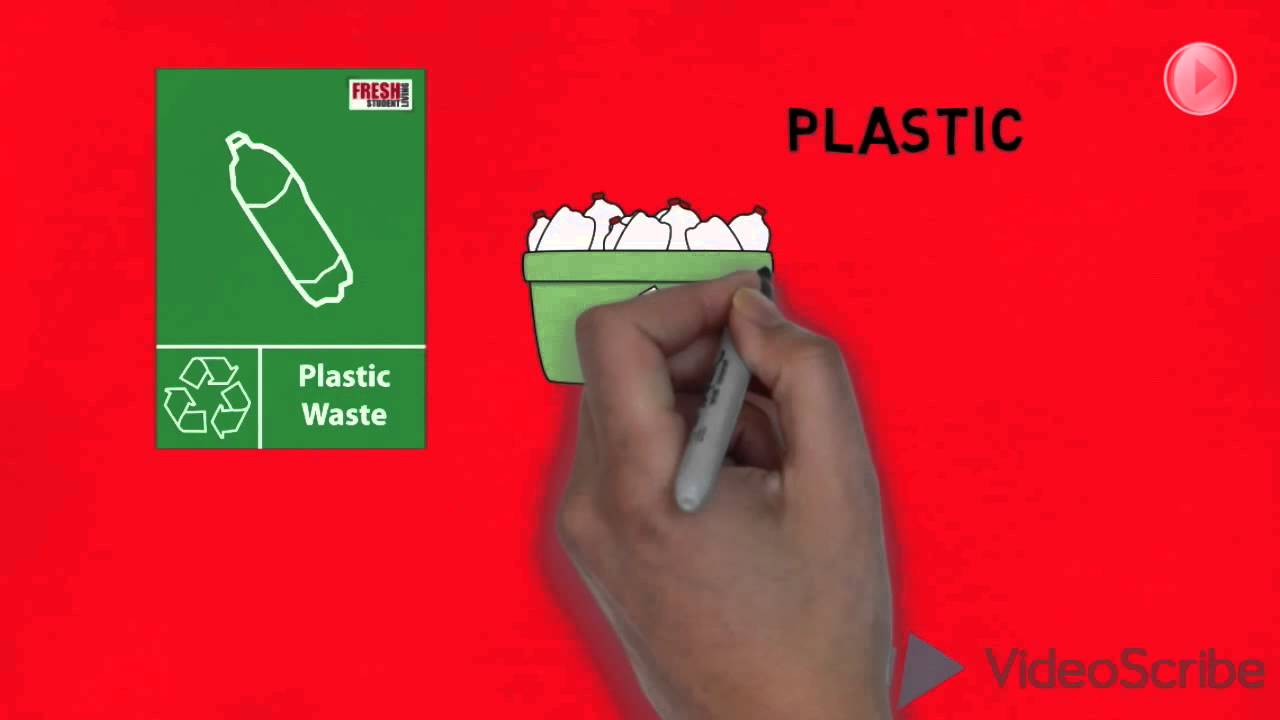 Recycling in Fresh Student Living Accomodation | Bangor, Wales