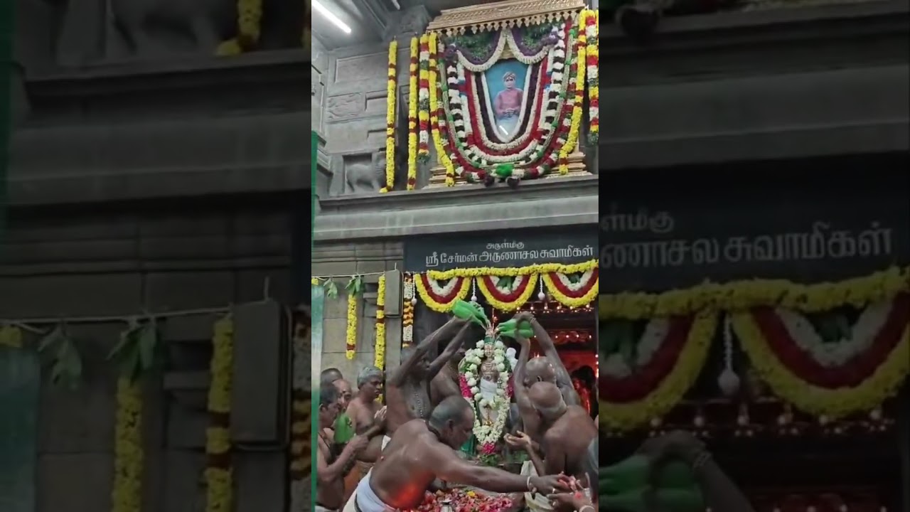 10 ஆம் திருநாள் இன்று சேர்மன் அருணாசல சுவாமி  உருகுபலகையில் கற்பூரவிலாசம் வரும் காட்சி.🪷