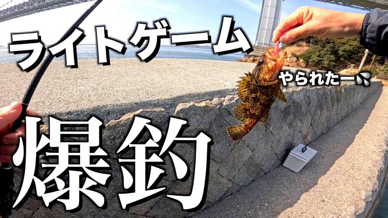 【釣りlog.5】タケノコメバル炸裂！釣れた魚は美味すぎた！