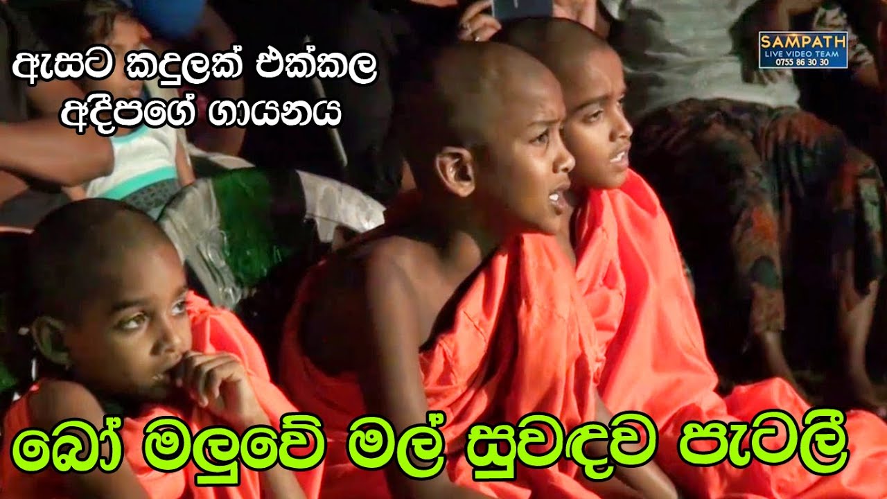 Bo Maluwe Mal | Adeepa with Sahara Flash | Best Sinhala Songs | SAMPATH LIVE VIDEOS