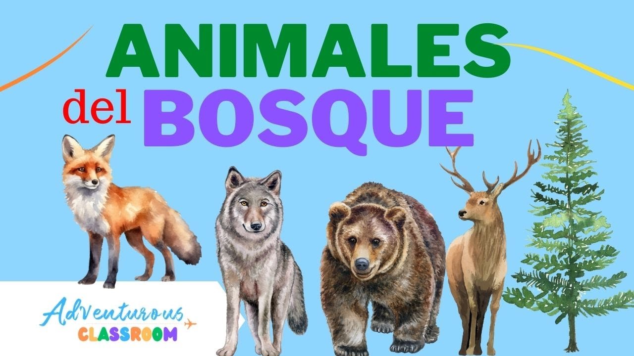 Animales del Bosque para niños español/Forest Animals for Kids Spanish/Learn Spanish