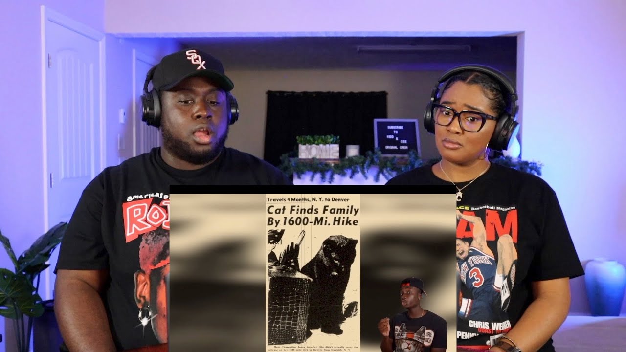 Kidd and Cee Reacts To The Insane Plot Armor of Cats