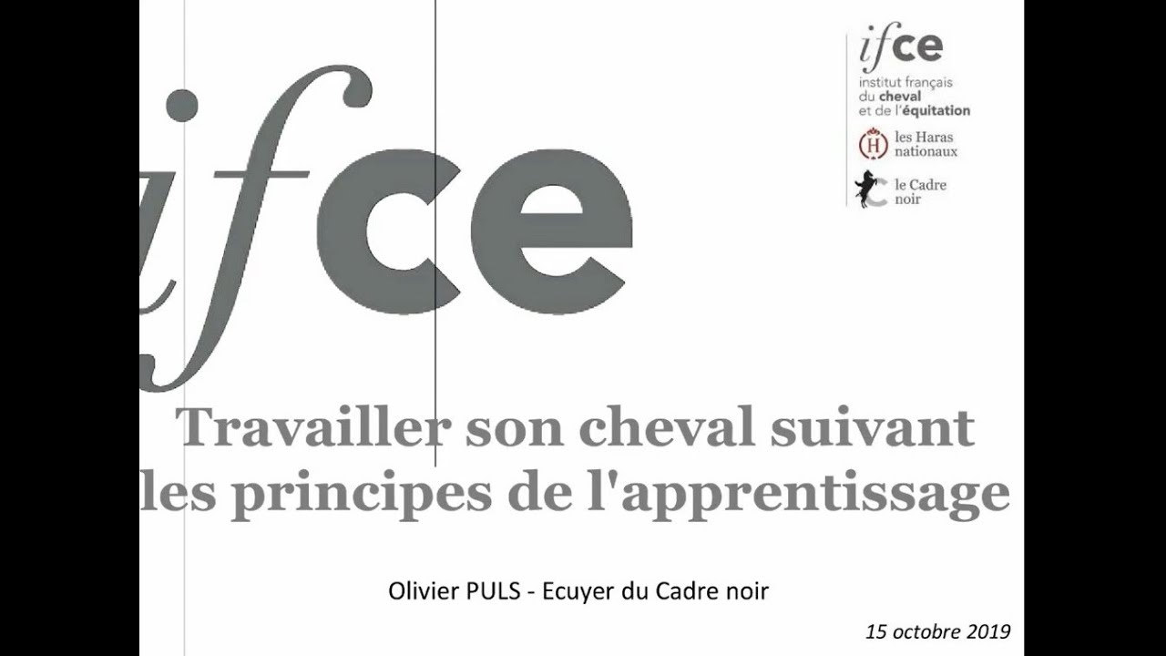 Travailler son cheval selon les principes de l apprentissage - Olivier Puls