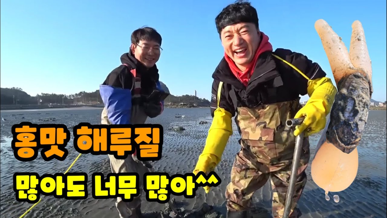 꽝없는 홍맛천국 1.5m에 한마리씩!? @초짜낚시 초짜낚시 +먹방