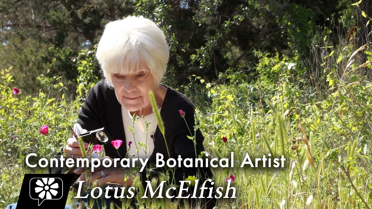 Lotus McElfish: Contemporary Botanical Artist